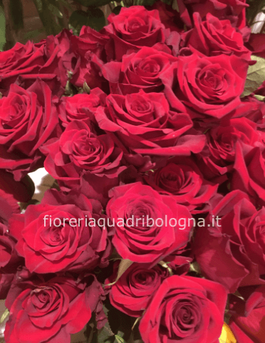 Rose a stelo di prima scelta 50 cm
