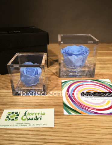 FLOWERCUBE ROSA AZZURRA 6x6