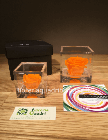 FLOWERCUBE ROSA ARANCIONE 6x6