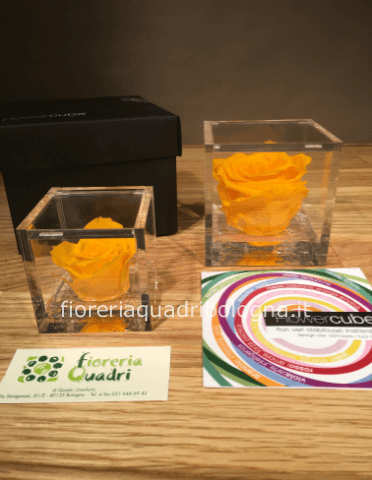FLOWERCUBE ROSA GIALLA 6x6
