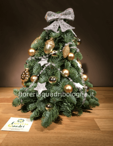 Alberino natale di abete