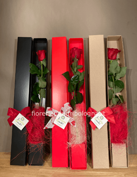 SCATOLA 1 ROSA