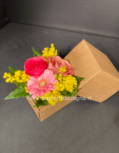 Box fiori e mimosa 