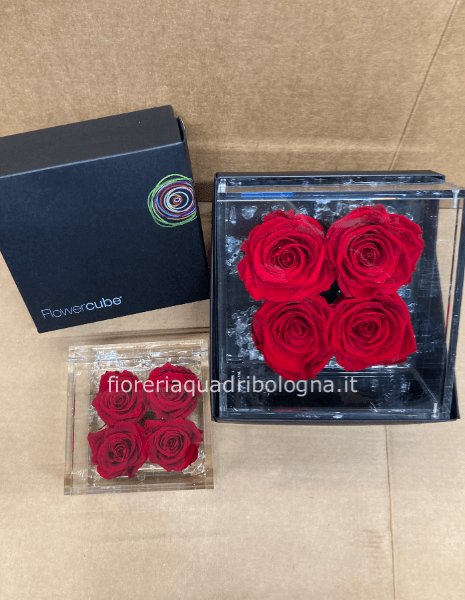 SCATOLA  DI PLEXIGLASS CON 4 ROSE  STABILIZZATE GRANDE 15X8