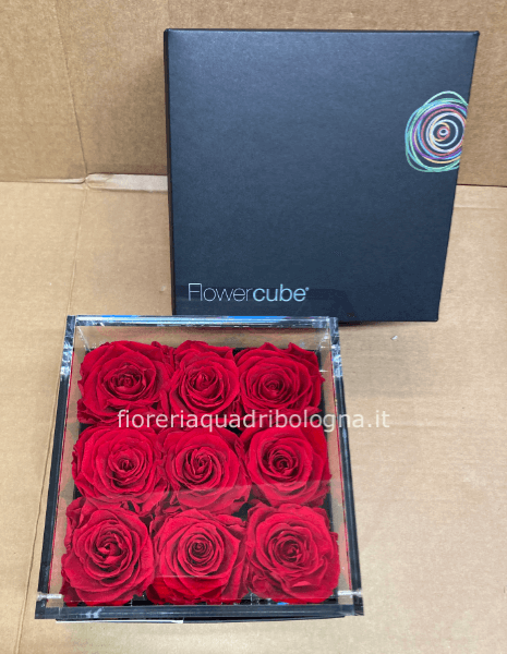 SCATOLA  DI PLEXIGLASS CON NOVE ROSE STABILIZZATE